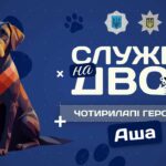 🚨 АША - поліцейська собака-універсал | Служба на двох