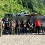 Новини України - Кози, свині й ухилянти - на Закарпатті викрили схему перевізників