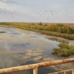 Новини України - В окупованому Криму запровадили режим надзвичайної ситуації