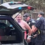 Новини світу - В США чоловік з вогнеметом напав на проізраїльських активістів