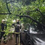 Новини України - На Буковині через негоду понад 26 тисяч споживачів залишились без світла