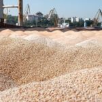 Новини України - Викрито депутата-колаборанта, що передав Росії 24 тис. тонн врожаю