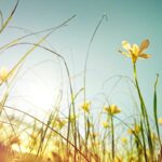 Новини України - Погода в Україні: місцями дощі, температура до 29°