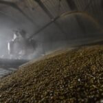 Новини бізнесу - Росія втрачає позиції найбільшого агроекспортера - розвідка