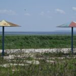 Новини України - Територію Каховське водосховище регулярно охоплює вогонь - Держекоінспекція