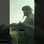 Redefining Security: Ukraine’s Drone Power