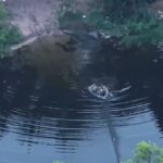 Новини України - ЗСУ зірвали спробу наступу росіян на Донеччині