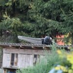 Новини світу - Пропаганда РФ звинувачує Київ в атаці дронів на Польщу - ЦПД
