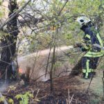 Новини України - Рятувальники другу добу гасять пожежу на Хортиці