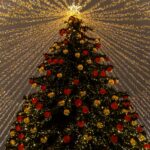 Новини Києва - У Києві почали встановлювати головну ялинку країни