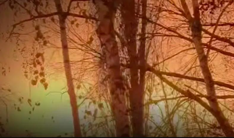 Новини України - Уражено НПЗ у РФ та місце зберігання дронів Криму