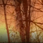 Новини України - ЗСУ уразили російський НПЗ та склад дронів в Криму