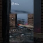 Загинула 4-річна малеча, 2 людей постраждали, серед них - дитина.