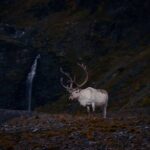 Новини культури - Гороскоп для всіх знаків зодіаку на 17 грудня 2025 року