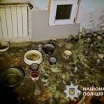 Новини України - Загибель понад 50 котів на Київщині: стали відомі нові деталі