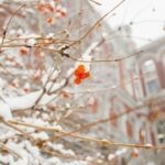 Новини бізнесу - Нацбанк знову зміцнив курс гривні