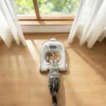 Технології - Представлена автоматична годівниця для котів з розпізнаванням "обличчя"