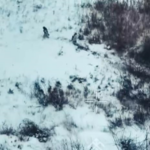 Новини України - ЗСУ показали відбиття російського штурму на Харківщині